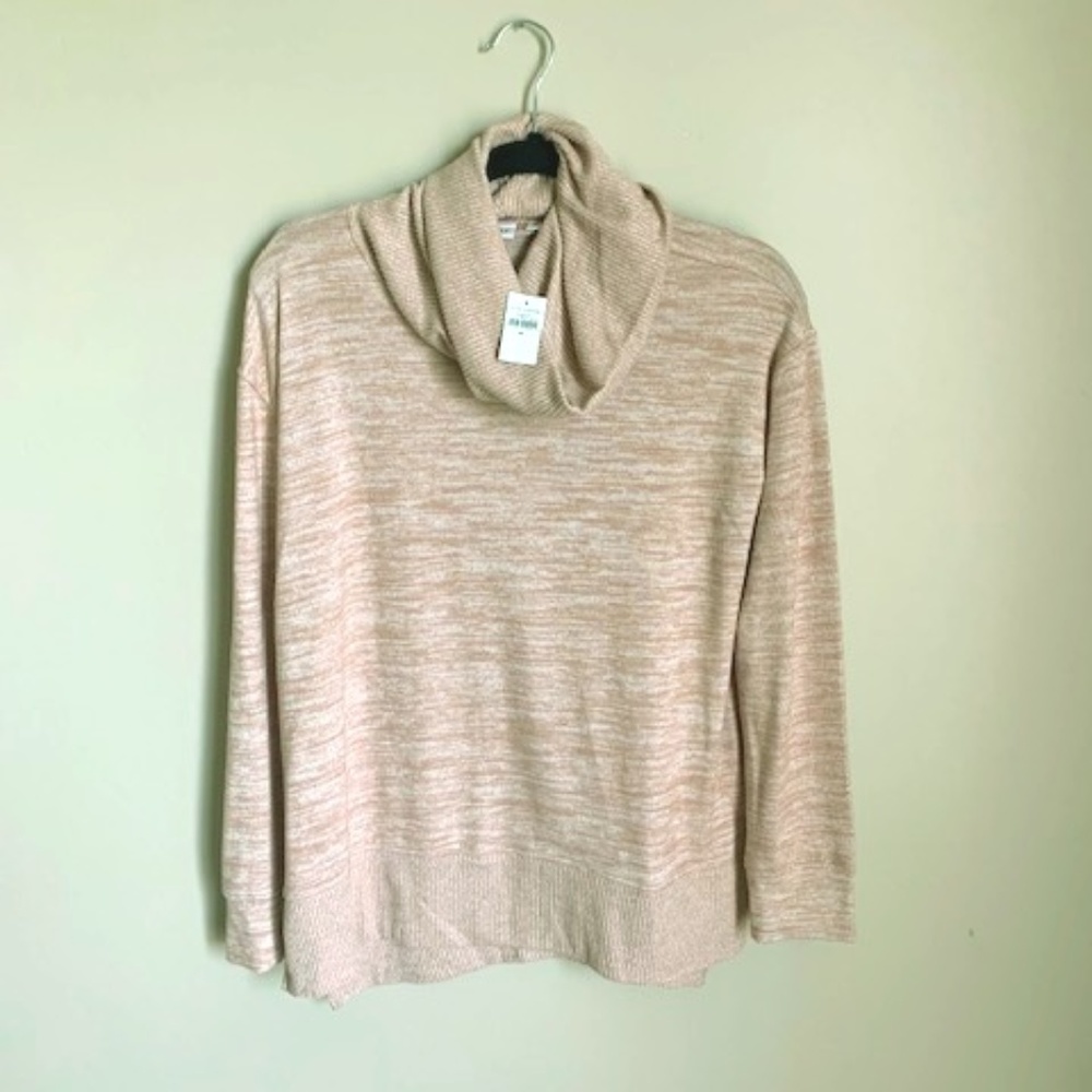 Loose turtleneck from GAP